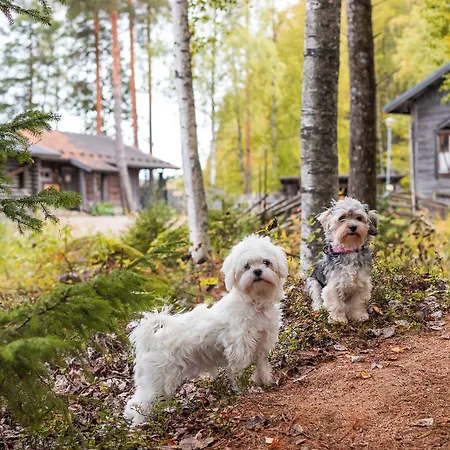 Rauhalahti